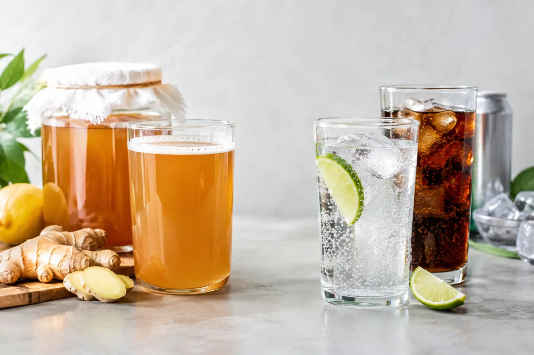 Naturally Fermented Versus Carbonated Drinks