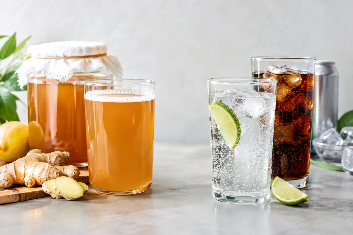 Naturally Fermented Versus Carbonated Drinks
